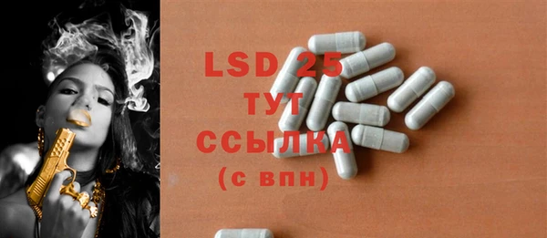 крисы Тында