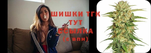 тгк Белокуриха