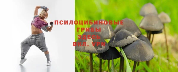 apvp Беломорск