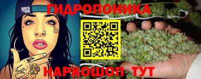 сатива Тулун