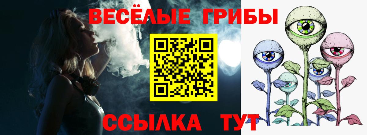Галлюциногенные грибы прущие грибы  Вход с VPN  Бутурлиновка 